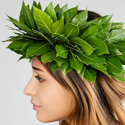 Illustration laurel - Image 1