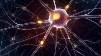 Illustration engram - Image 1