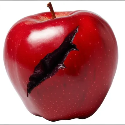 Illustration scratches - Image 1