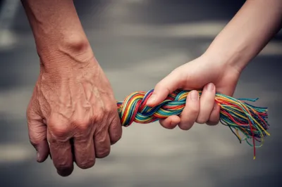 Illustration binds - Image 1