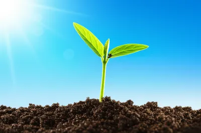 Illustration living - Image 1