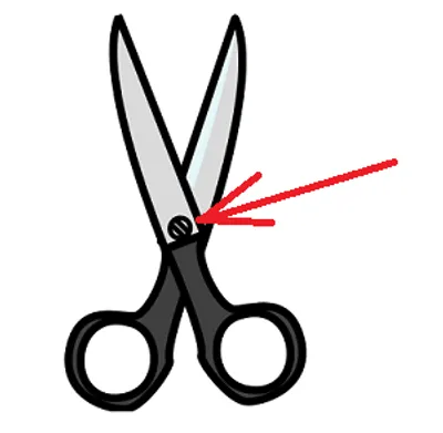 Illustration pivot - Image 2