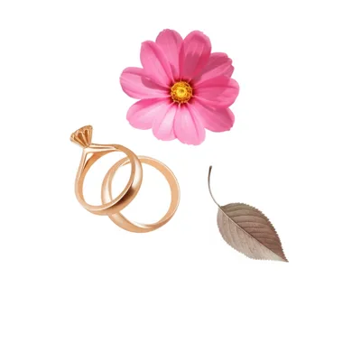 Illustration vital statistics - Image 1