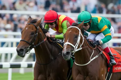 Illustration jockeyed - Image 1