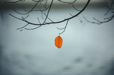 Illustration efflux - Image 1