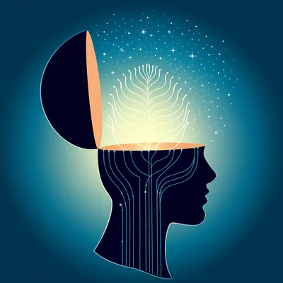 Illustration receptive - Image 1