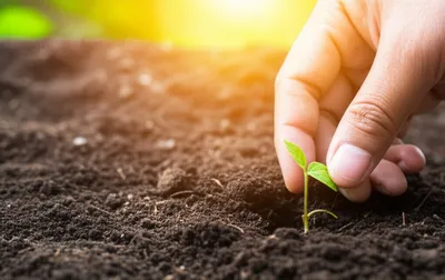 Illustration erected - Image 1