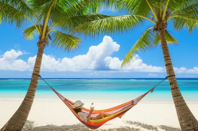 Hình ảnh minh họa leisure - Ảnh 1