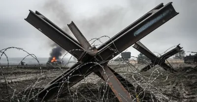 Illustration hedgehogs - Image 1