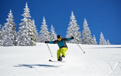 Illustration monoski - Image 1