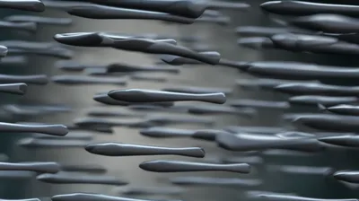 Illustration director - Image 1