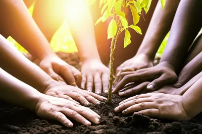 Illustration philanthropies - Image 1