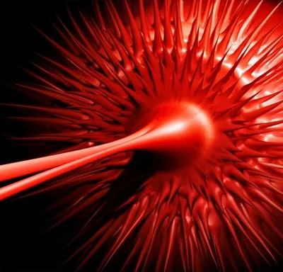 Illustration bite - Image 1