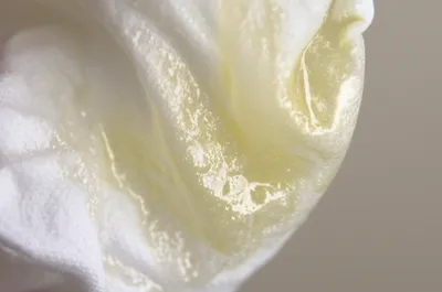 Illustration snot - Image 1