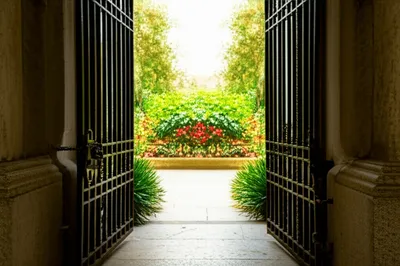 Illustration restricted - Image 1