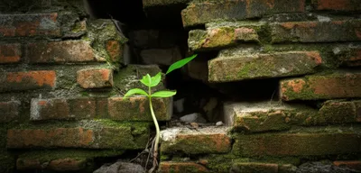 Illustration preventive - Image 1