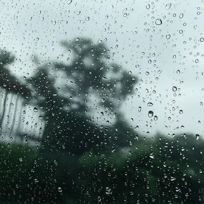 Illustration fogged - Image 1