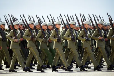 Illustration line - Image 1