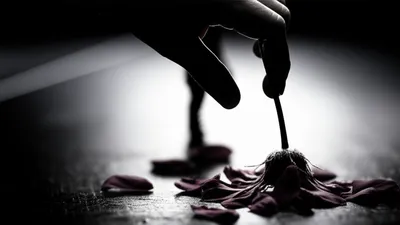 Illustration eliminating - Image 1