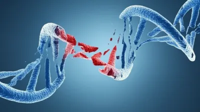 Illustration lesion - Image 1