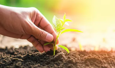 Illustration upraised - Image 1