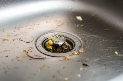 Illustration fouled - Image 1