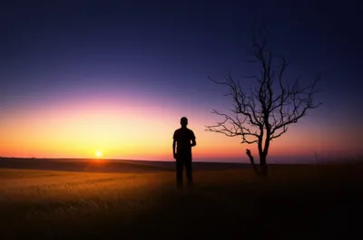 Illustration evenings - Image 1