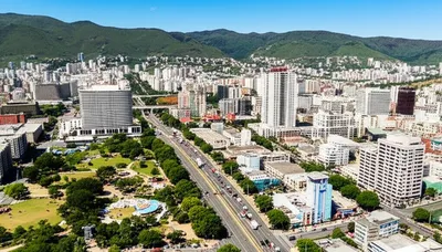 Illustration populated - Image 1