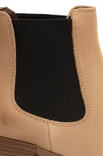 Illustration gores - Image 1