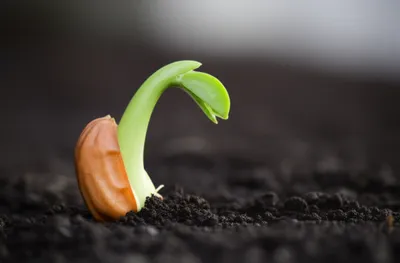 Illustration reawaken - Image 1