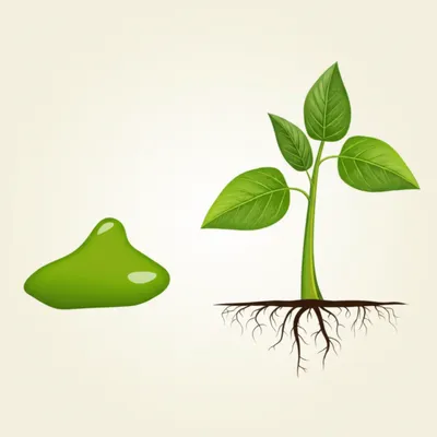 Illustration undifferentiated - Image 1