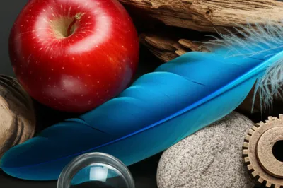 Illustration accents - Image 1