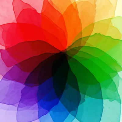 Illustration overprint - Image 1