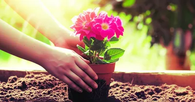 Illustration relate - Image 1