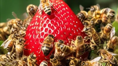 Illustration onslaught - Image 1