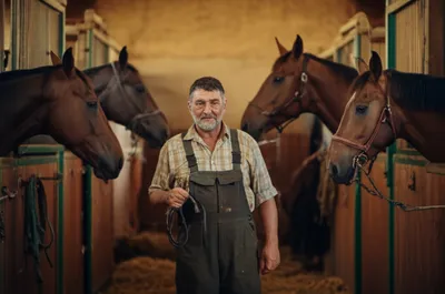 Illustration horseman - Image 1