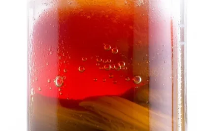 Illustration ferments - Image 1