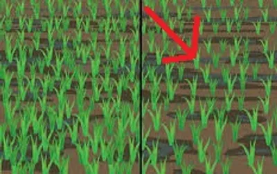 Illustration thin - Image 2