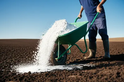 Illustration chalked - Image 1