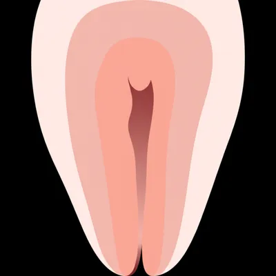 Illustration cats - Image 1