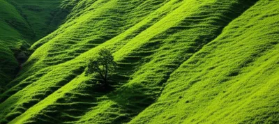 Illustration rake - Image 1