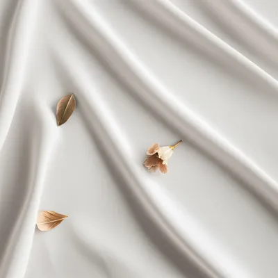 Illustration lay - Image 1