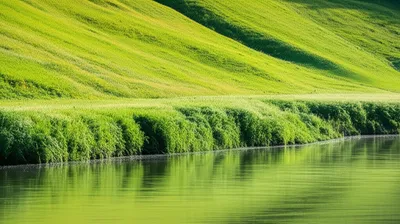 Hình ảnh minh họa banks - Ảnh 1