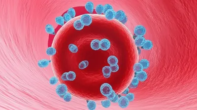 Illustration oxygenated - Image 1