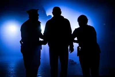 Hình ảnh minh họa gat - Ảnh 1