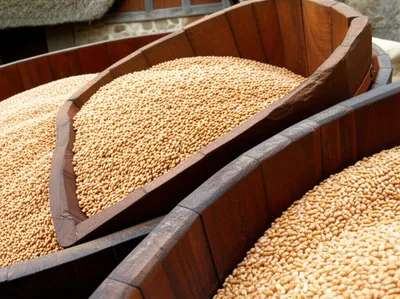 Illustration comb - Image 1