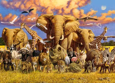 Illustration wildlife - Image 2