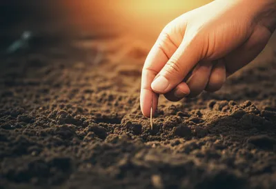 Illustration initialize