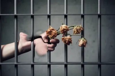 Illustration handful - Image 1