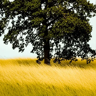 Illustration kilt - Image 1